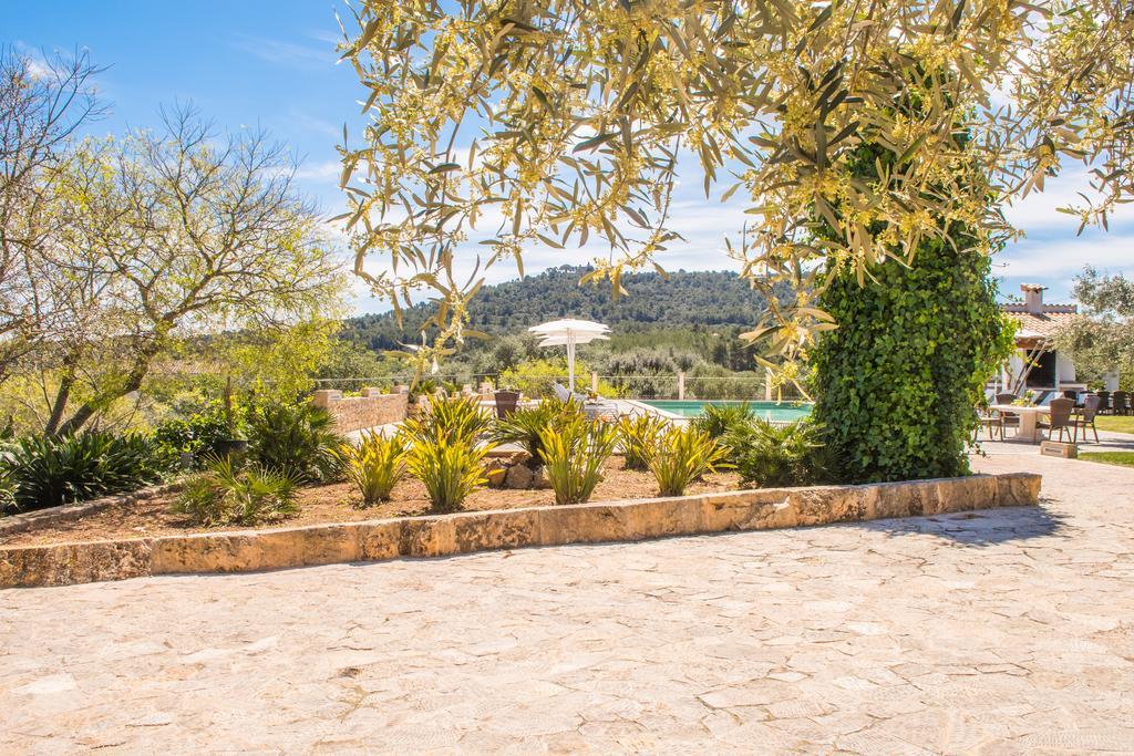 Agroturismo Son Burgues Петра Екстер'єр фото