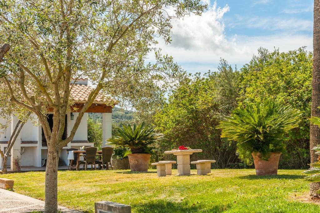Agroturismo Son Burgues Петра Екстер'єр фото